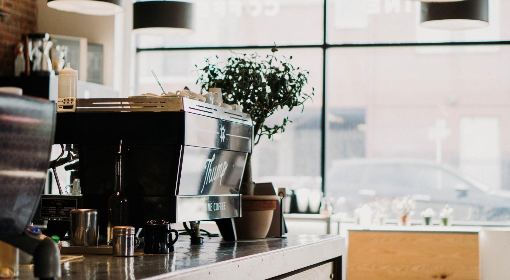 Find your perfect fit at FoundryLine a kitchen with a plant